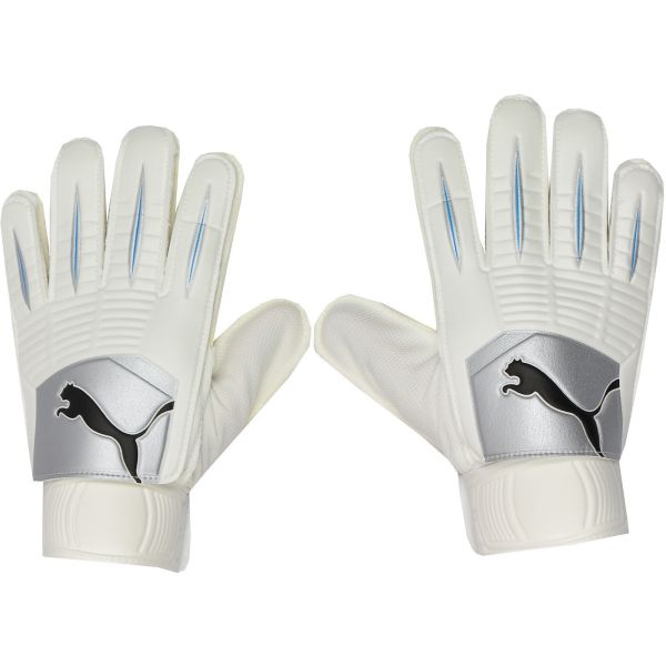 Puma PowerCat 4.10 Grip Goalkeeper Gloves