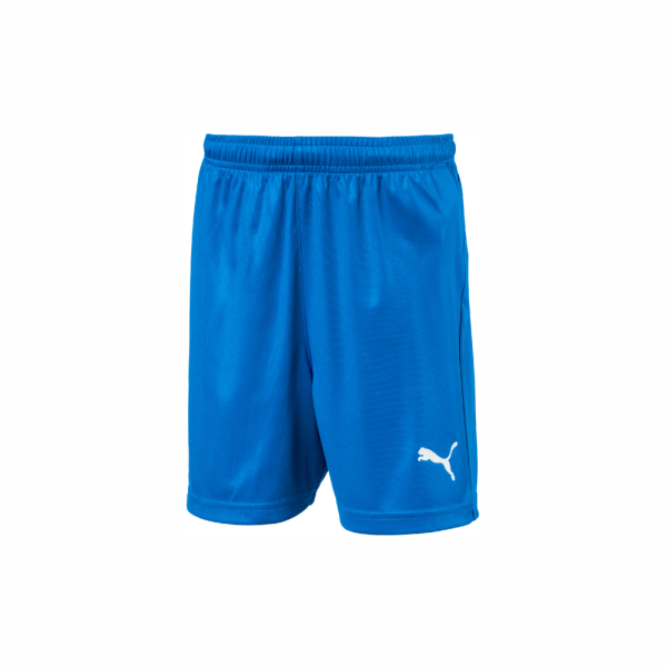 FCP Boys/Men Liga Short Blue