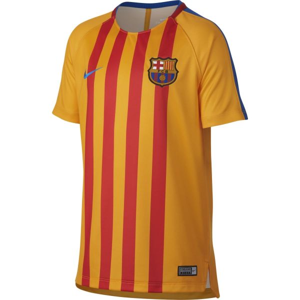 Nike Kids' Dry FC Barcelona Squad Top