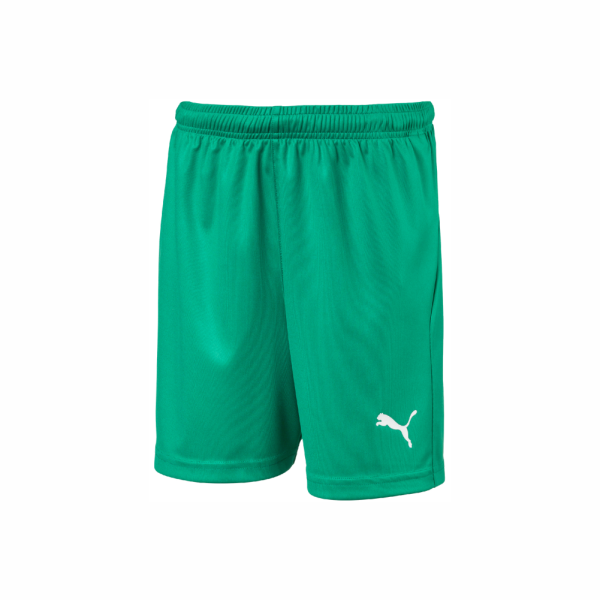 FCP Unisex Liga Short Core Green